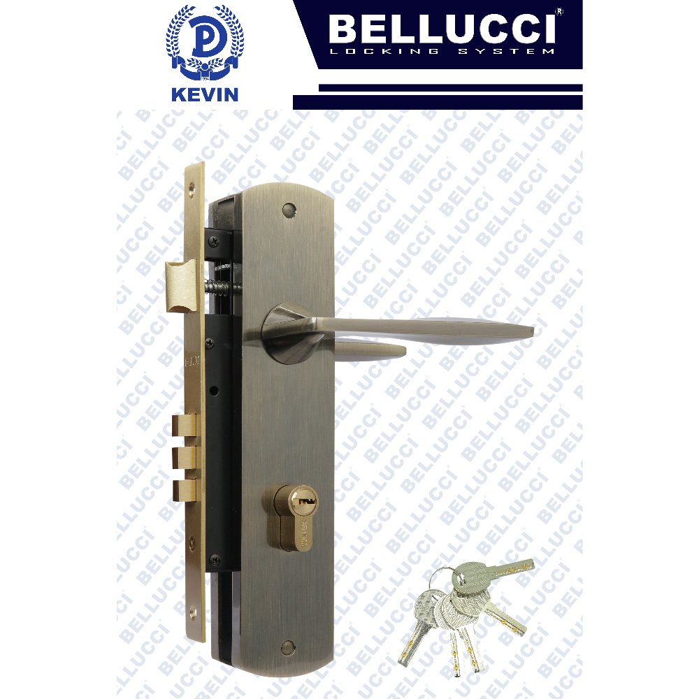 LARGE DOOR LOCK New