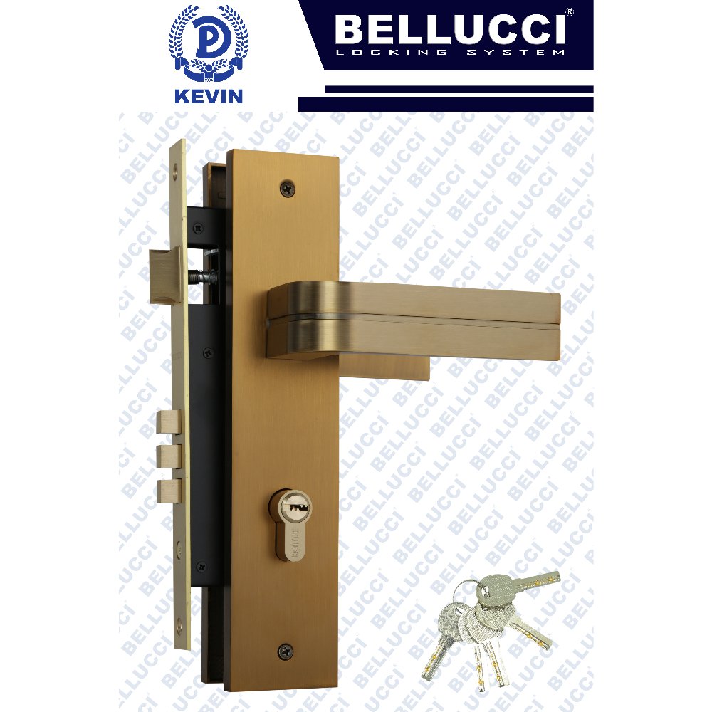 LARGE DOOR LOCK