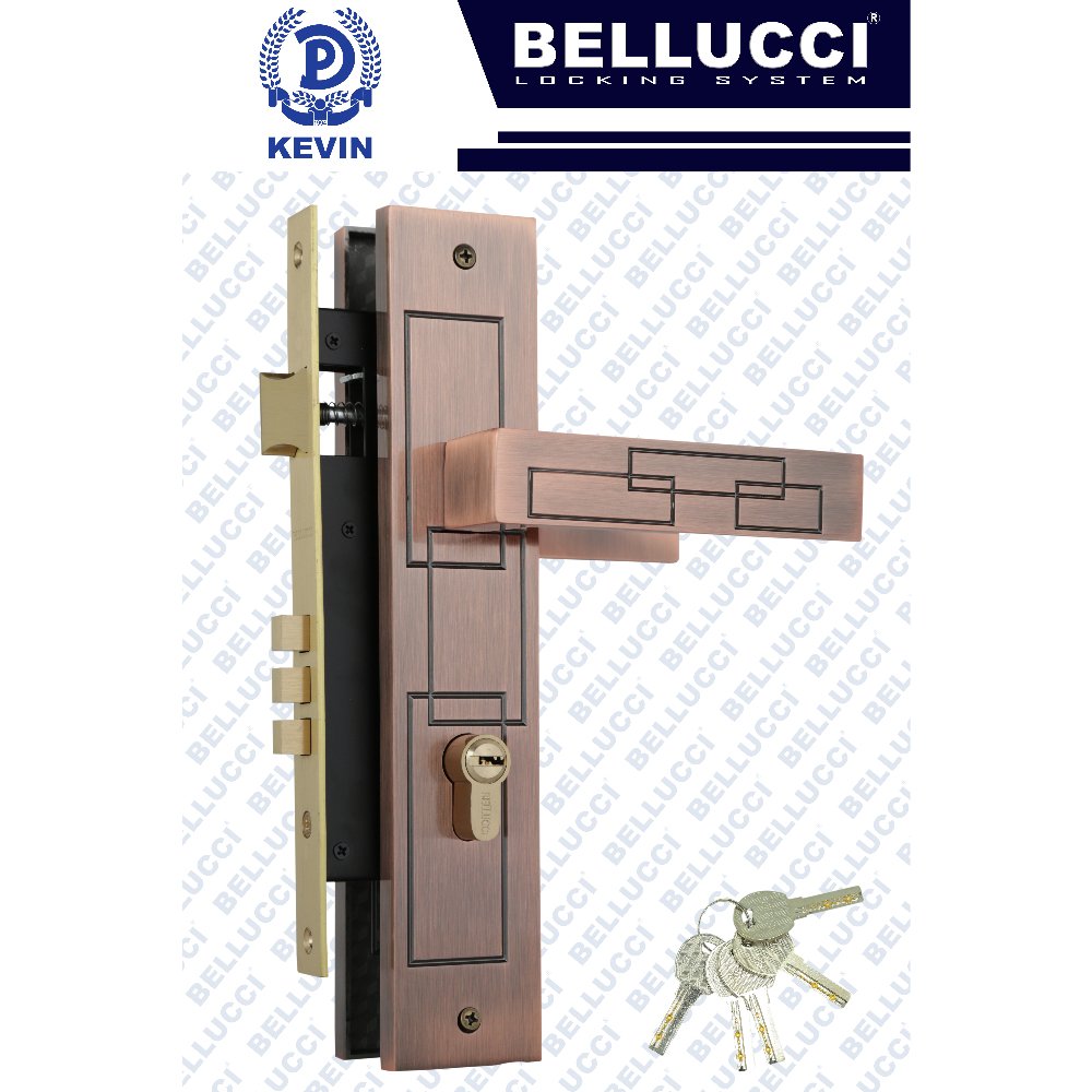 LARGE DOOR LOCK