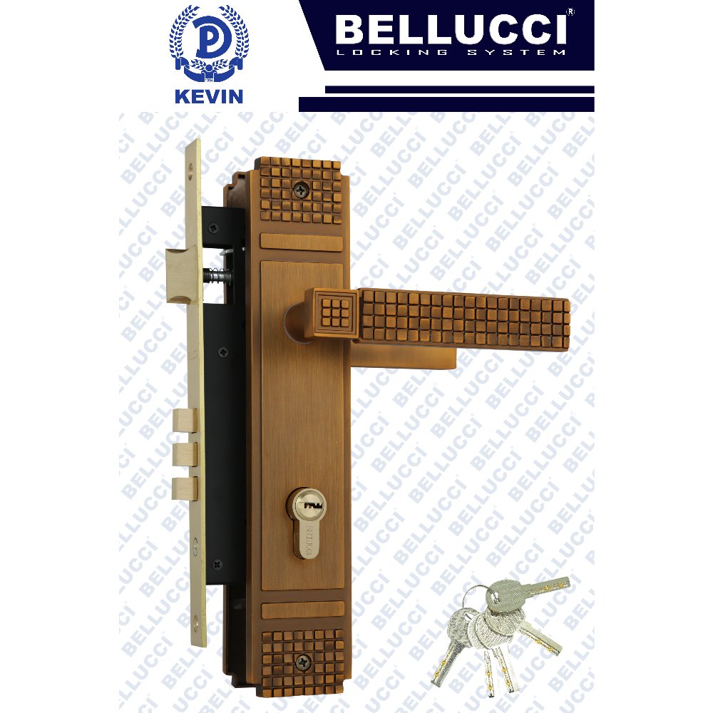 LARGE DOOR LOCK
