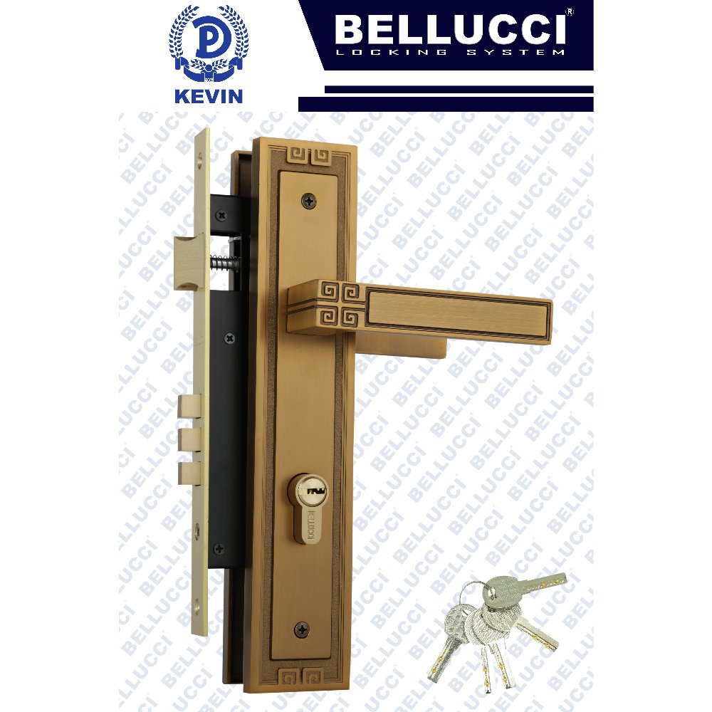 LARGE DOOR LOCK