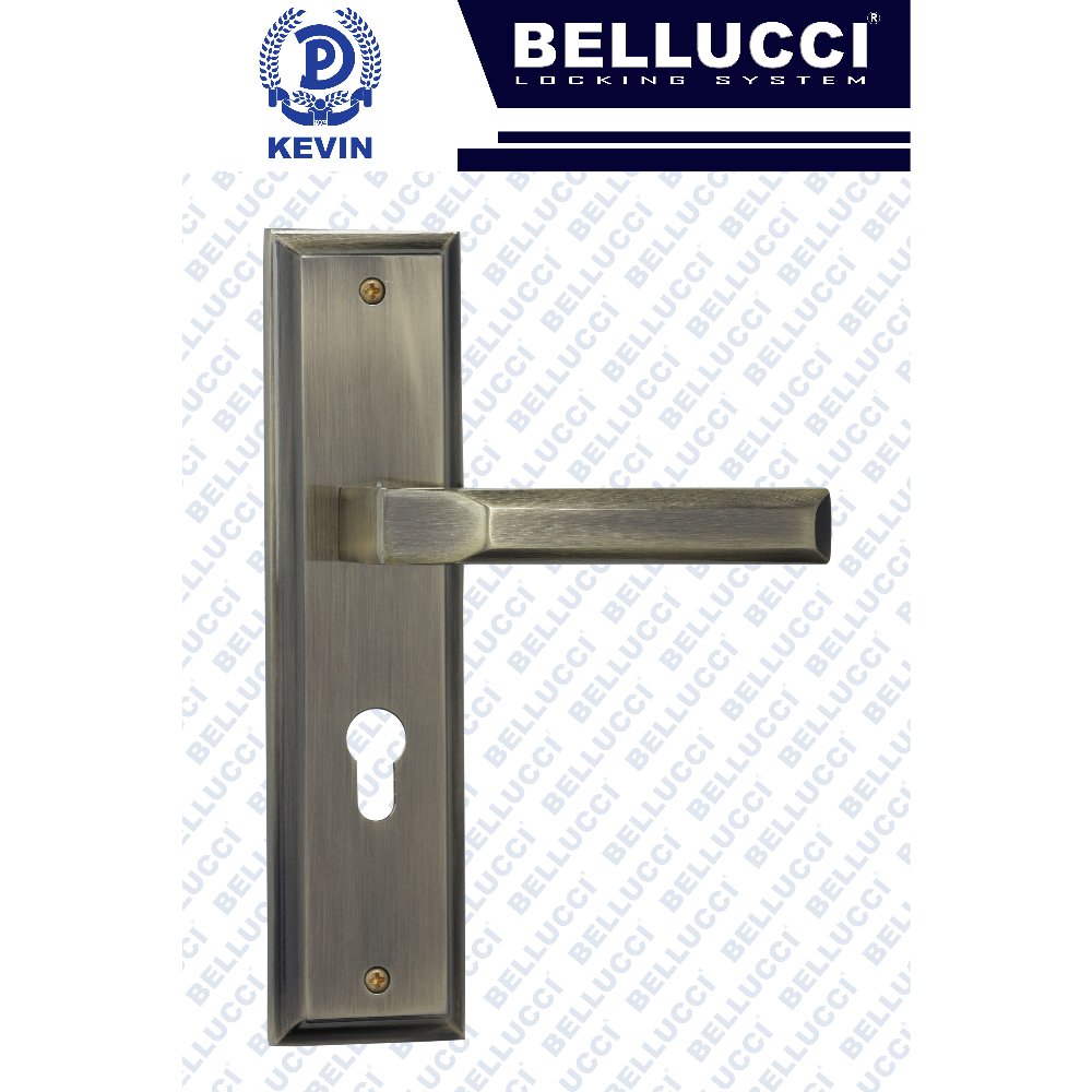 LARGE DOOR LOCK