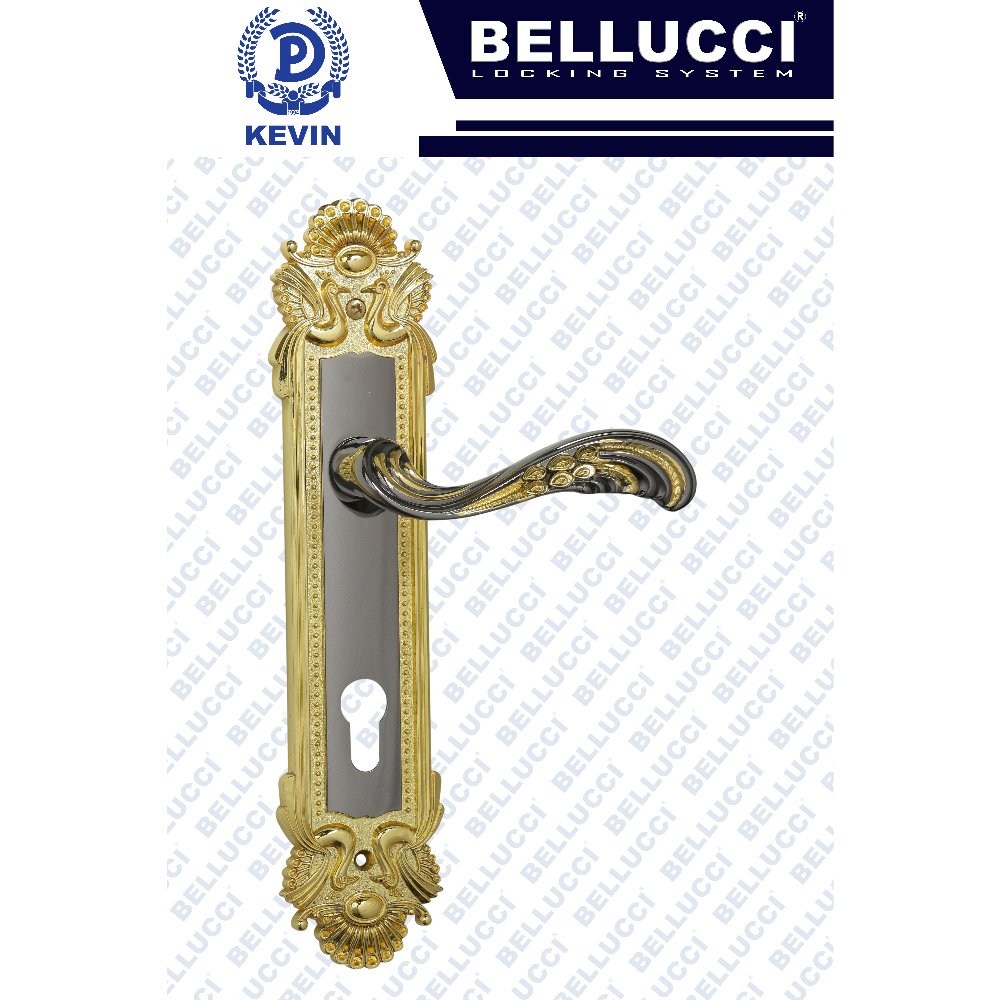 LARGE DOOR LOCK