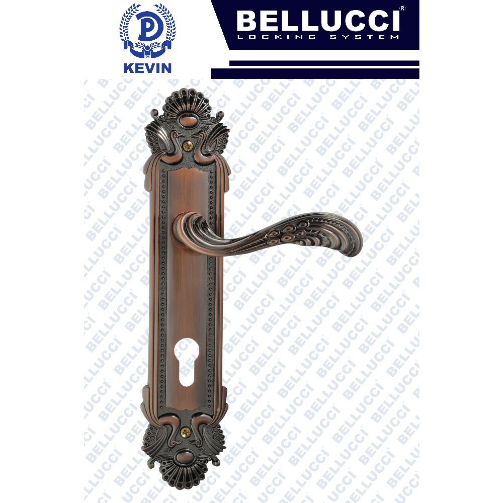 LARGE DOOR LOCK